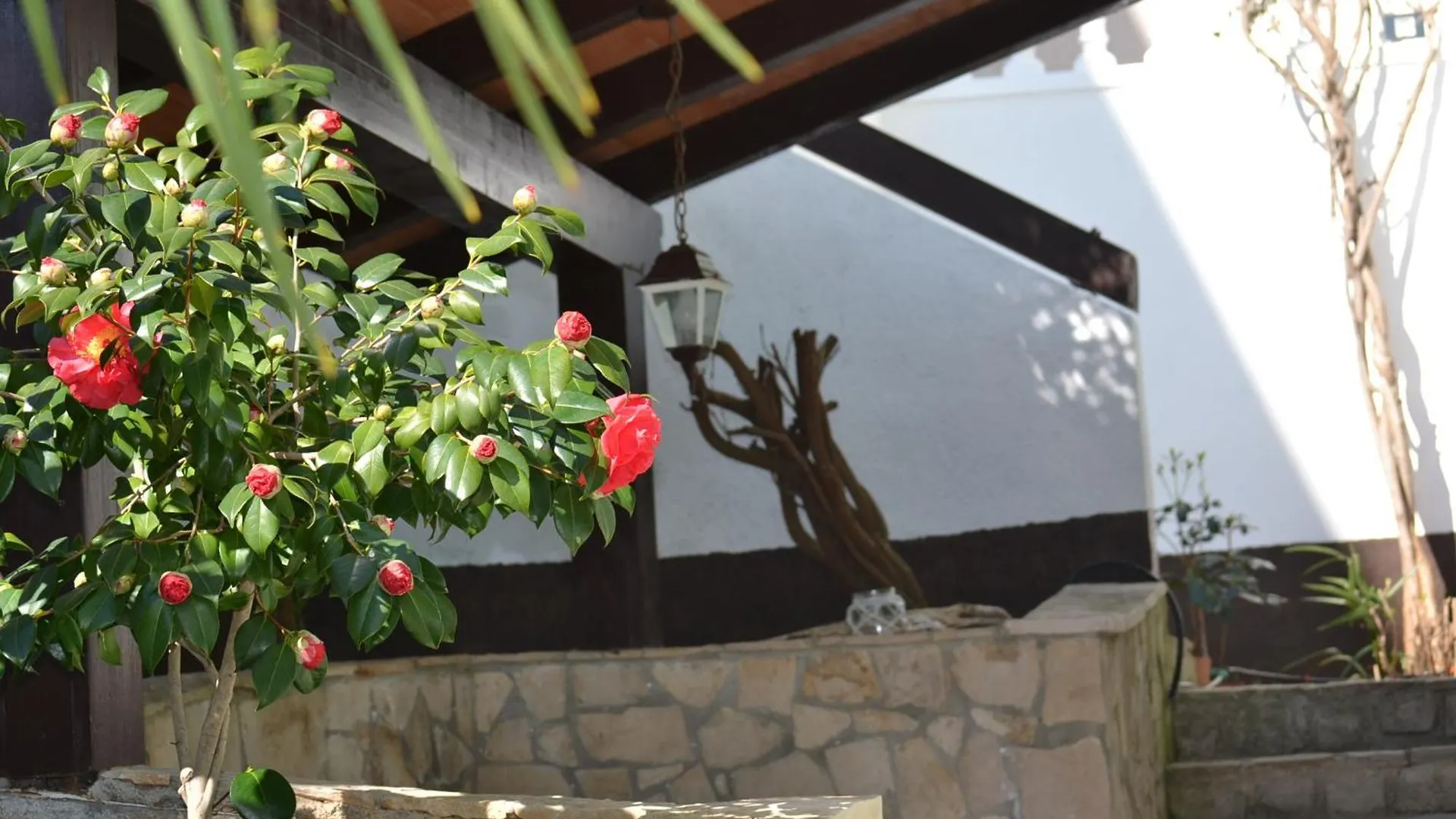 Villa Verde Apartments And Rooms contacts